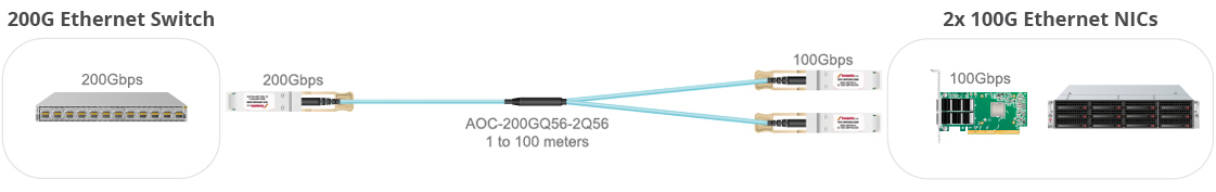200G Connection with NIC - Diagram